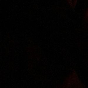 Meet your Posher, Daoud